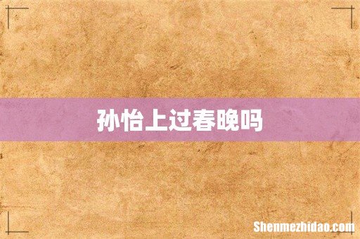 孙怡上过春晚吗