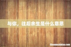 与你，往后余生是什么意思