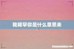 我稀罕你是什么意思来