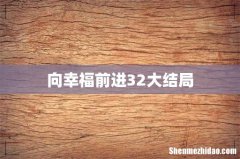 向幸福前进32大结局