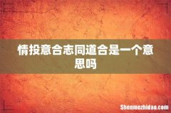 情投意合志同道合是一个意思吗