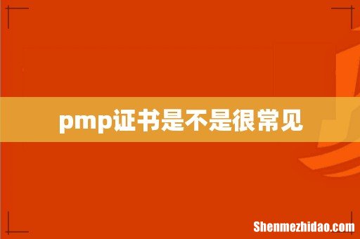 pmp证书是不是很常见