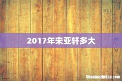 2017年宋亚轩多大