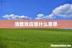 活载效应是什么意思
