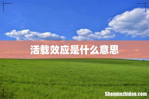 活载效应是什么意思