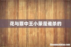 花与罪中王小蒙是谁杀的