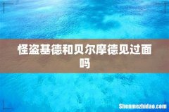 怪盗基德和贝尔摩德见过面吗