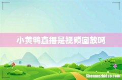 小黄鸭直播是视频回放吗
