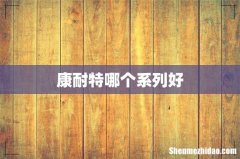 康耐特哪个系列好