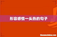 形容感情一头热的句子