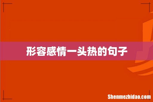 形容感情一头热的句子