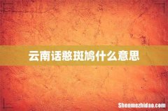 云南话憨斑鸠什么意思
