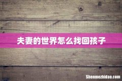 夫妻的世界怎么找回孩子