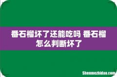 番石榴坏了还能吃吗 番石榴怎么判断坏了