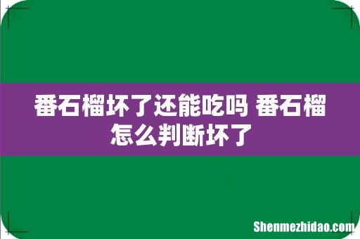 番石榴坏了还能吃吗 番石榴怎么判断坏了