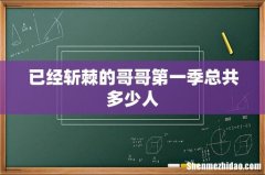 已经斩棘的哥哥第一季总共多少人