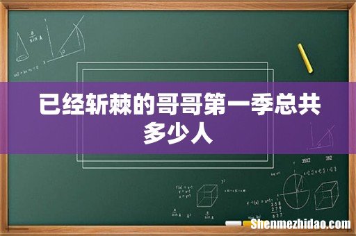 已经斩棘的哥哥第一季总共多少人