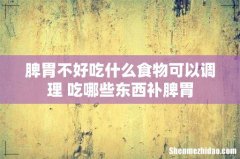脾胃不好吃什么食物可以调理 吃哪些东西补脾胃