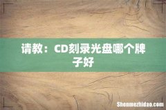 请教：CD刻录光盘哪个牌子好