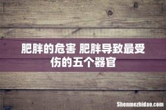 肥胖的危害 肥胖导致最受伤的五个器官