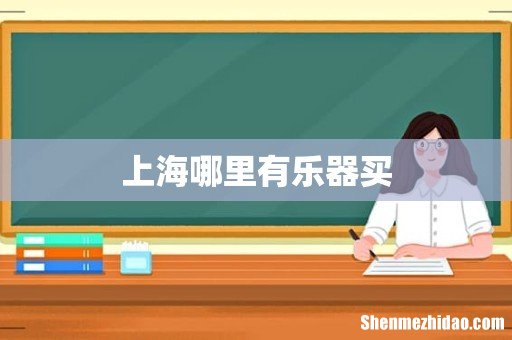 上海哪里有乐器买