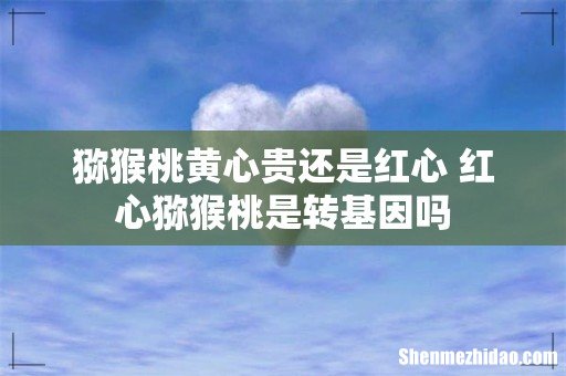 猕猴桃黄心贵还是红心 红心猕猴桃是转基因吗