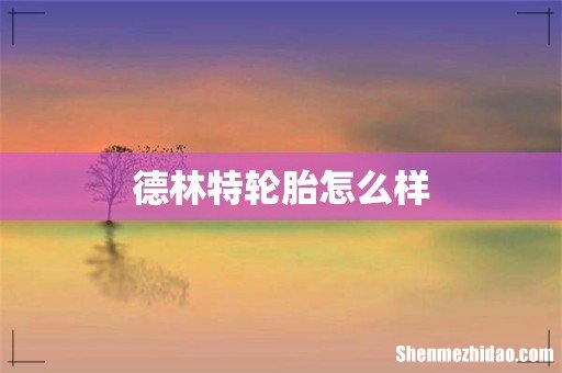 德林特轮胎怎么样