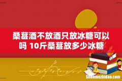 桑葚酒不放酒只放冰糖可以吗 10斤桑葚放多少冰糖