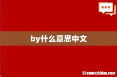 by什么意思中文