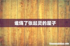 谁烧了张起灵的屋子