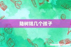 陆树铭几个孩子