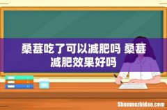 桑葚吃了可以减肥吗 桑葚减肥效果好吗