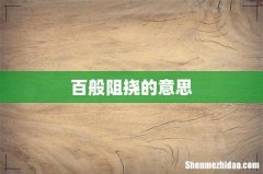 百般阻挠的意思