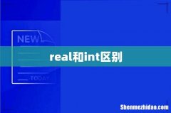 real和int区别