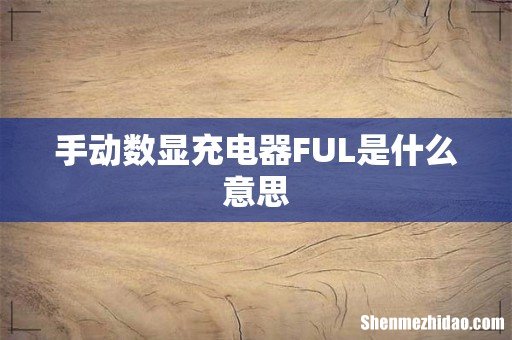 手动数显充电器FUL是什么意思