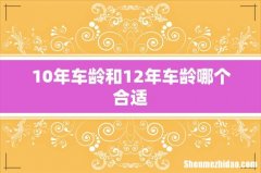 10年车龄和12年车龄哪个合适