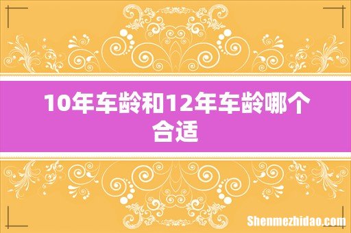 10年车龄和12年车龄哪个合适