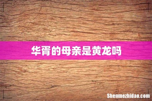 华胥的母亲是黄龙吗