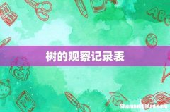 树的观察记录表