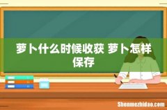 萝卜什么时候收获 萝卜怎样保存