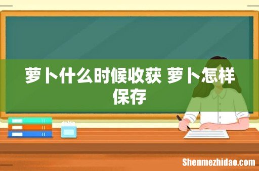 萝卜什么时候收获 萝卜怎样保存