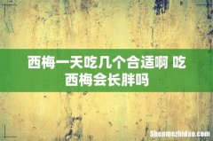 西梅一天吃几个合适啊 吃西梅会长胖吗