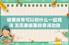 板栗排骨可以和什么一起炖汤 无花果板栗排骨汤功效