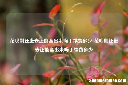 花呗刚还进去还能套出来吗手续费多少 花呗刚还进去还能套出来吗手续费多少