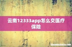 云南12333app怎么交医疗保险
