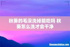 秋葵的毛没洗掉能吃吗 秋葵怎么洗才会干净