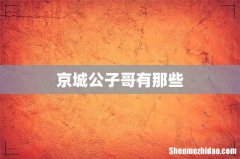 京城公子哥有那些