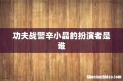 功夫战警辛小晶的扮演者是谁