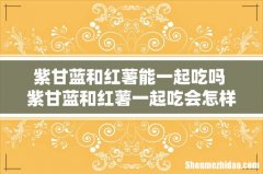 紫甘蓝和红薯能一起吃吗 紫甘蓝和红薯一起吃会怎样