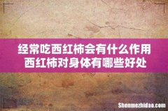 经常吃西红柿会有什么作用 西红柿对身体有哪些好处